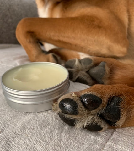 Before and after applying moisturising dog paw balm
