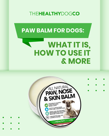 Paw Balm for dogs - What it is, how to use it & more