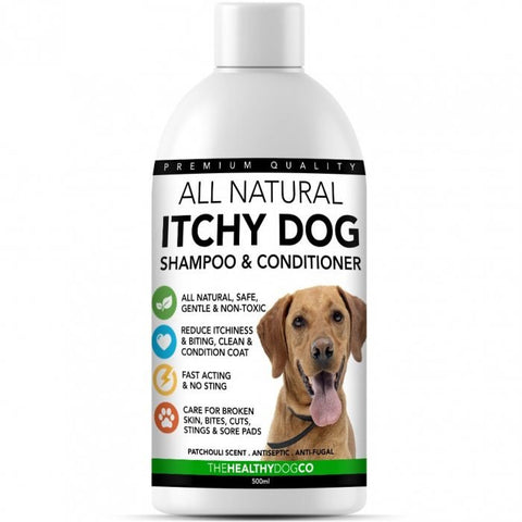 All Natural Itchy Dog Shampoo and Conditioner