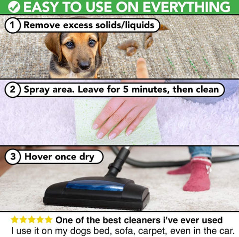 How to use THDC All-Natural Pet Stain and Odour Remover