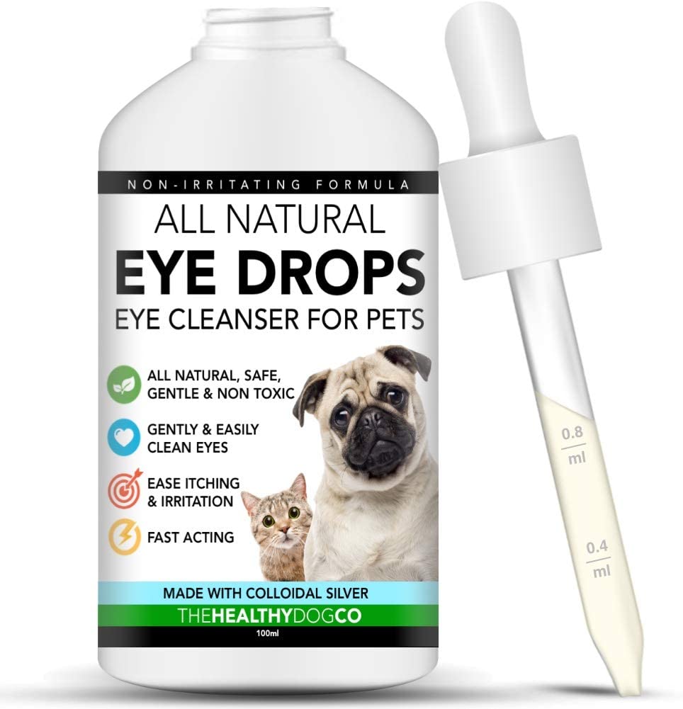 how do you put ointment in a dogs eye