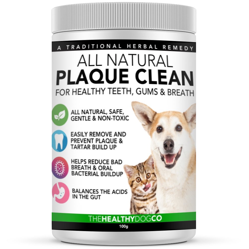 how to get rid of plaque on dogs