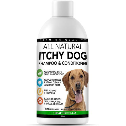 All Natural Itchy Dog Shampoo