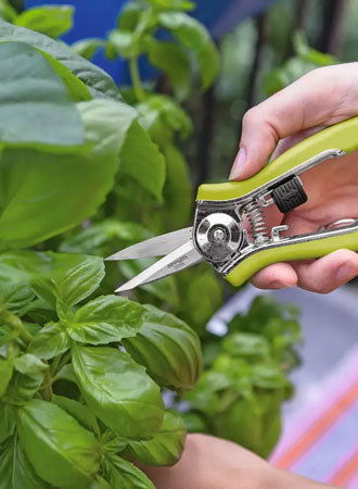 gardening-tools-for-pruning