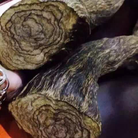 aged, natural agarwood indonesia