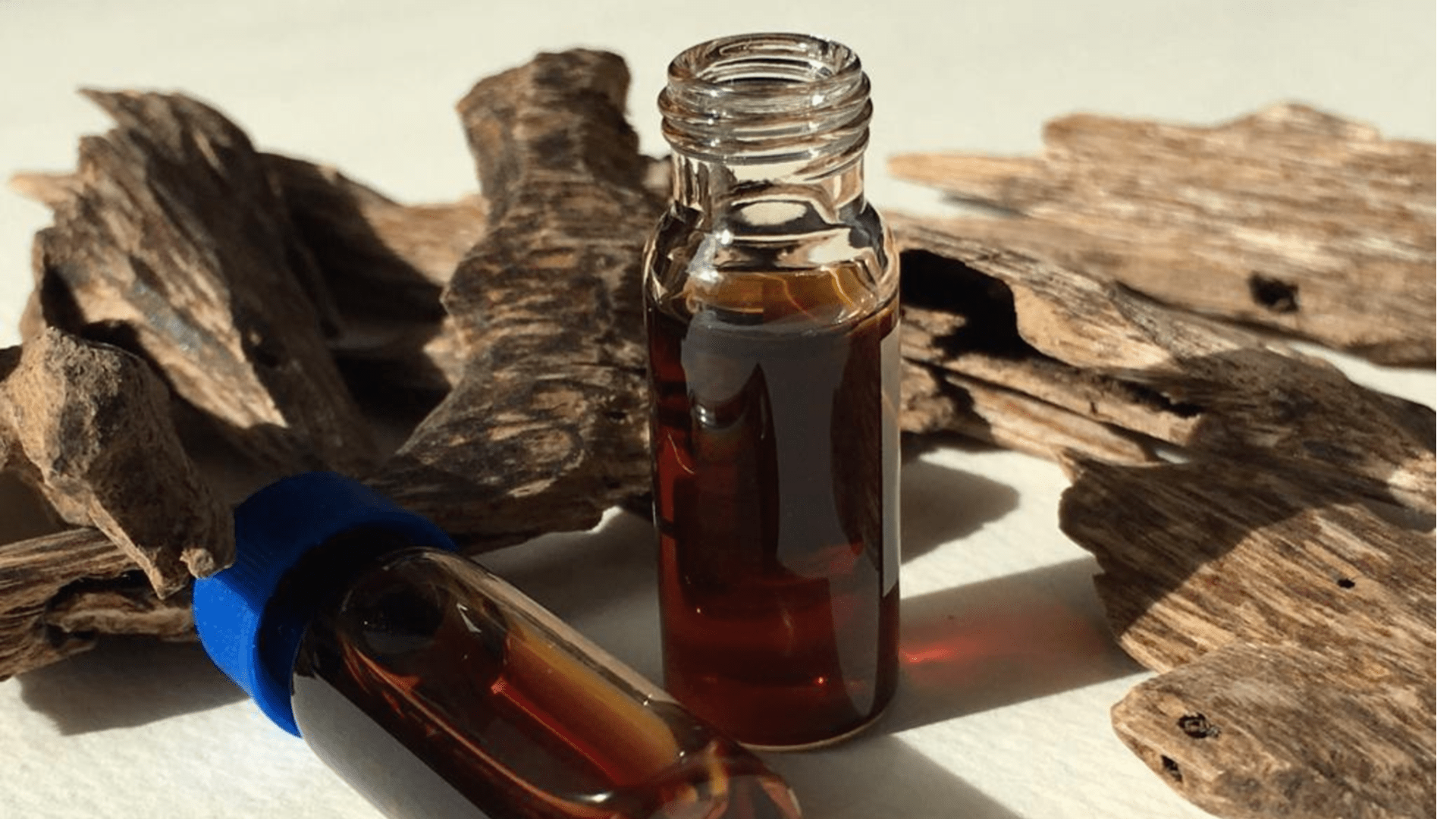 Удовое дерево аромат. Agarwood Oil / oud Oil. Эфирное масло Agarwood. Удовое дерево. Эфирное масло дерево уд.