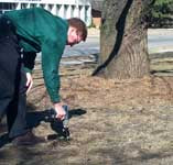 Drilling hole for deep-root feeding