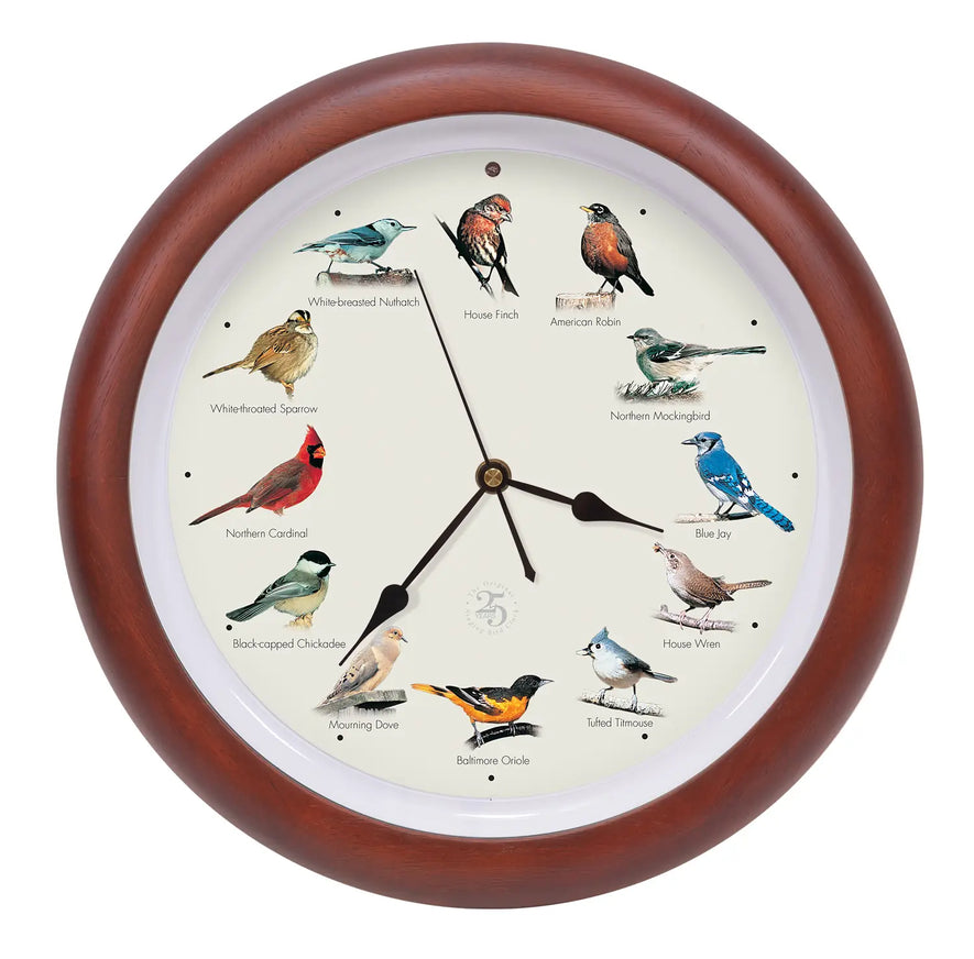 Buy 25th Anniversary Original Singing Bird Clock, 13 Inch, Green