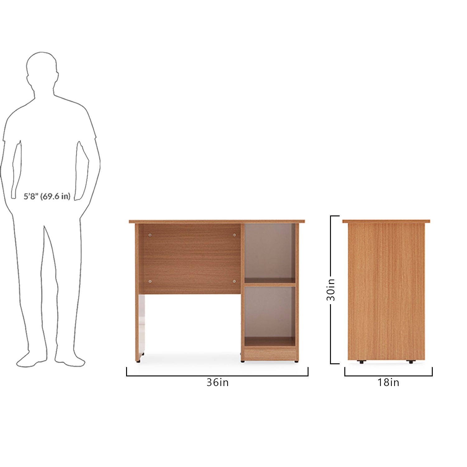 Delta Study with shelves-image-9