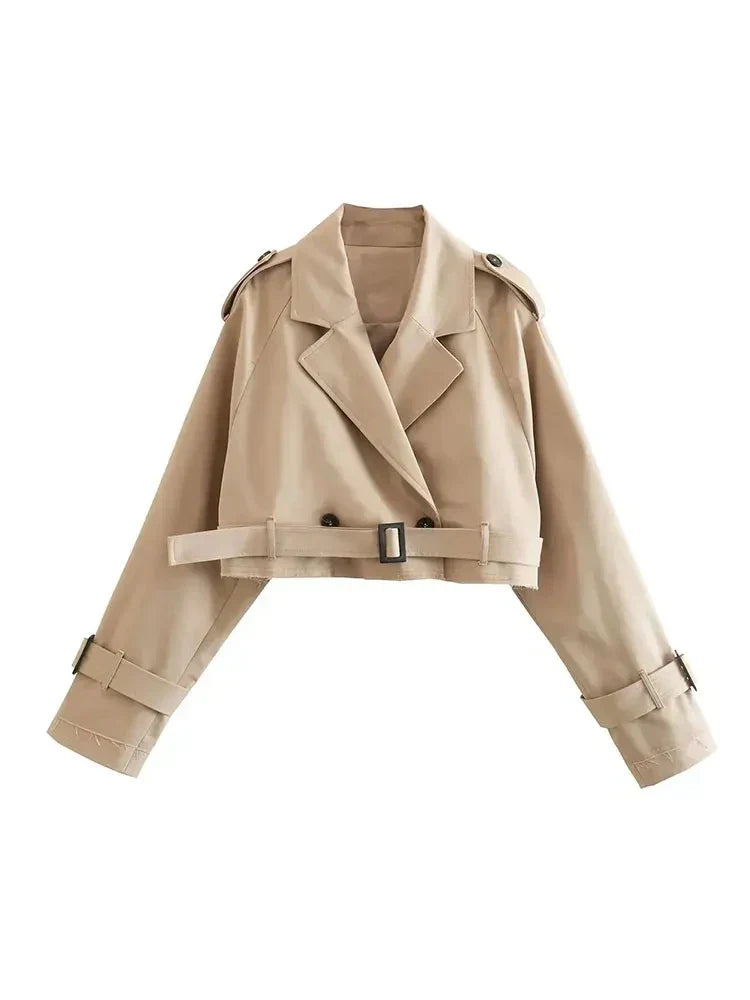 Product Image for Ivyshape | Cropped Belted Jacket, Black (Sold Out) / M