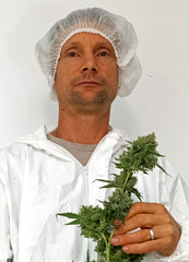 Dwight Bailey cofounder of Kalyx Limited holds a cannabis flower.