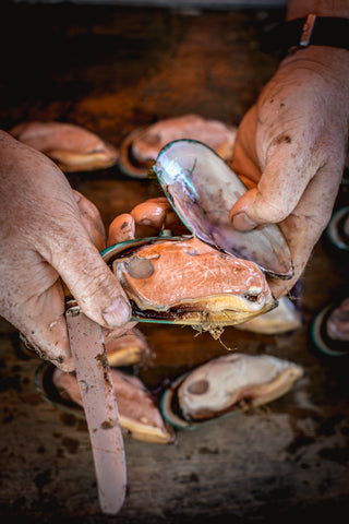 Mussel opened with a knife after sanitised with DX50 chlorine dioxide water treatment product