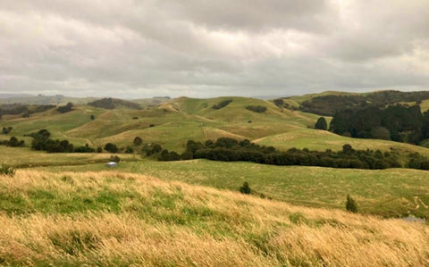 Land connected to the Farm Water Supply scheme in Waipukurau