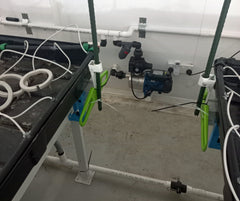 Hydroponic irrigation system uses water sanitised with DX50 chlorine dioxide