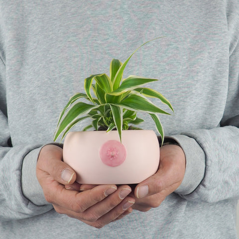 A pink planter in a form of a boob.