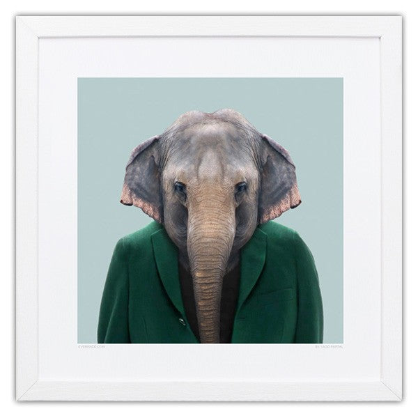 evermade-zoo-portrait-print-elephant-1.1481717655
