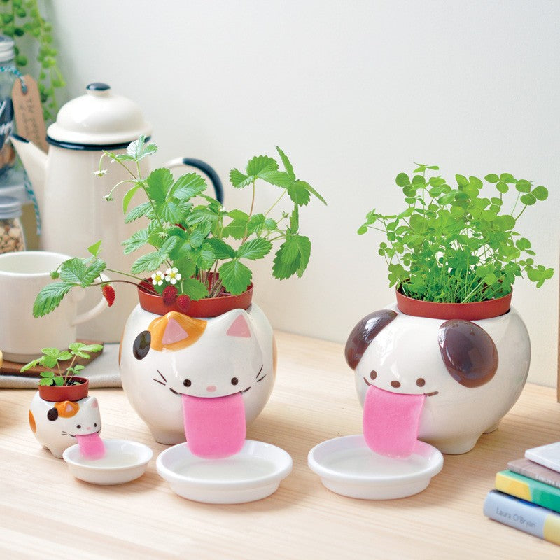 noted-papa-peropon-drinking-animal-planter-cat-3