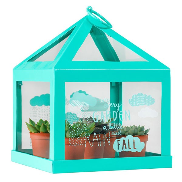 thoughtful-gardener-mini-green-house-1