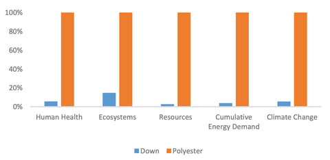 Down vs. Polyester Sustainability IDFB study