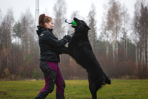 Millaista koiran kasvattaminen on