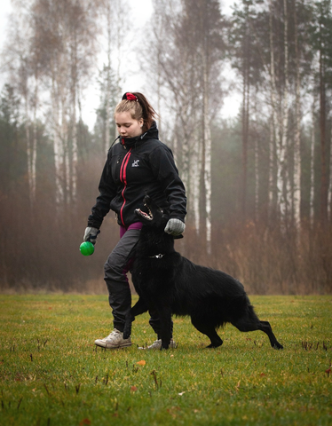 Koiran vahvistaminen / palkkaaminen