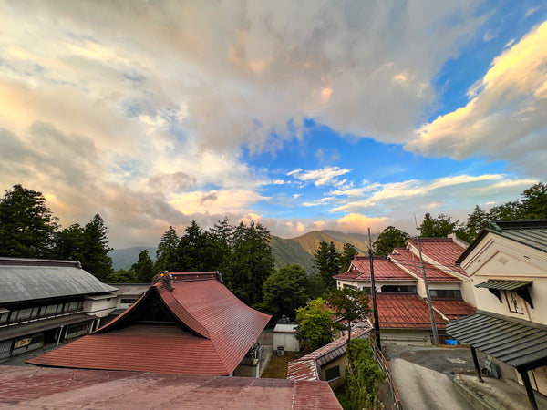 お部屋からの早朝の景色