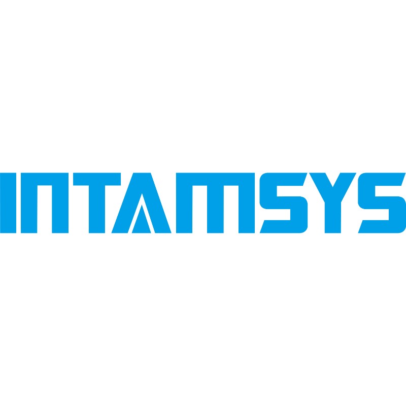 Intamsys_Logo