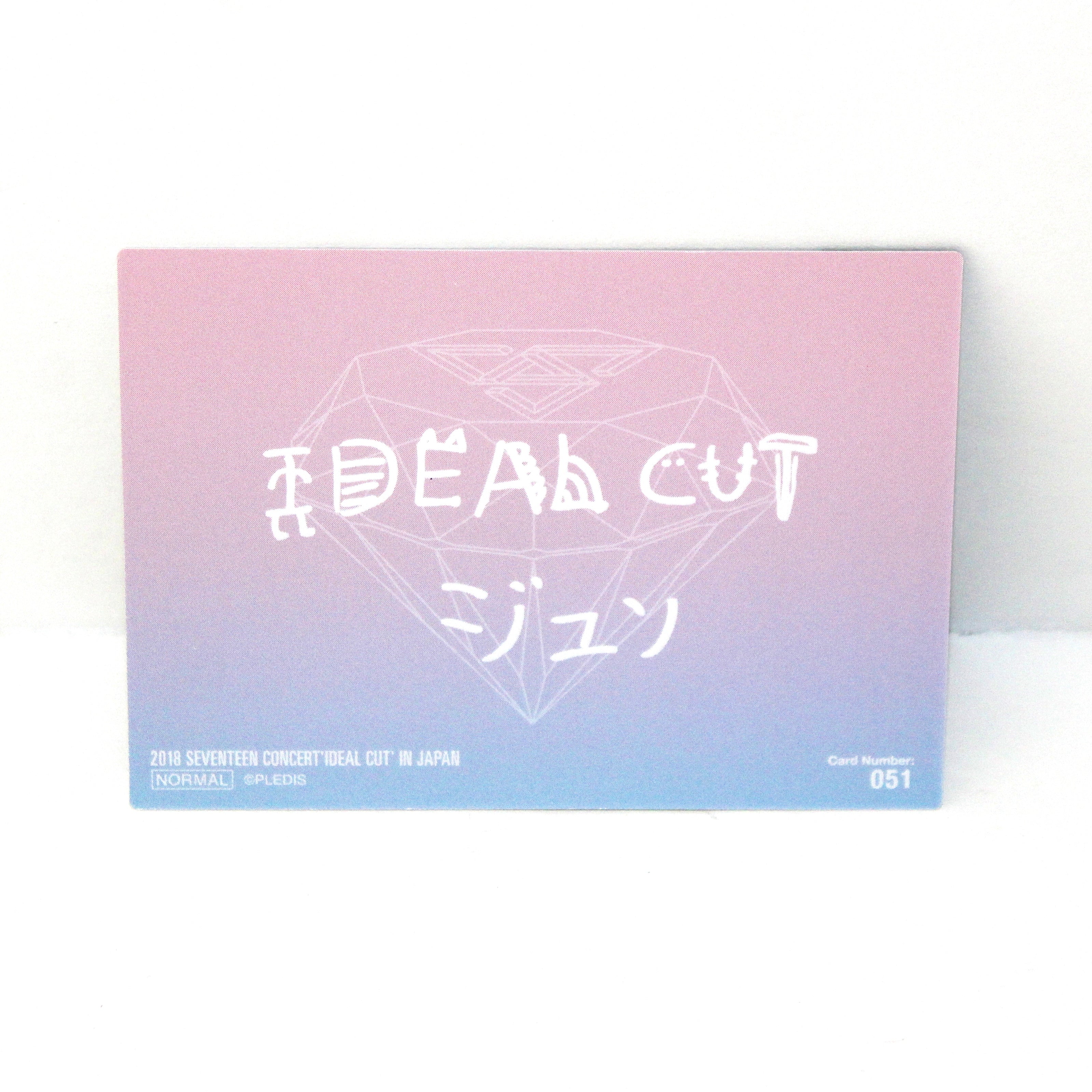 SEVENTEEN 2018 Ideal Cut Concert In Japan | PCs