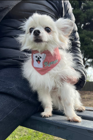 A Dog wearing a custom-made personalised bandana made by romeomama.com.au