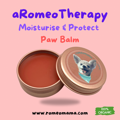 Romeo Mama Organic Paw Balm for Dog to combat dry, cracked and irritated dog paws