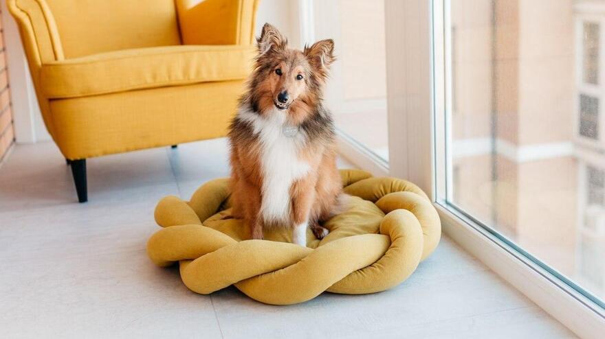 donut bed