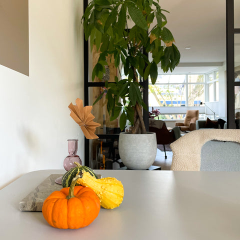 Blog: Inspiratie | 3x herfstkleuren in huis