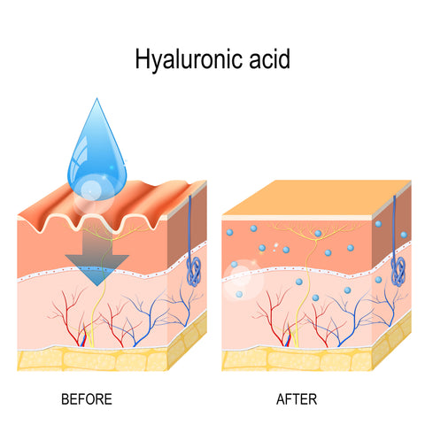 Hyaluronic acid for skin care. Skin care supplements. Best skin care supplements