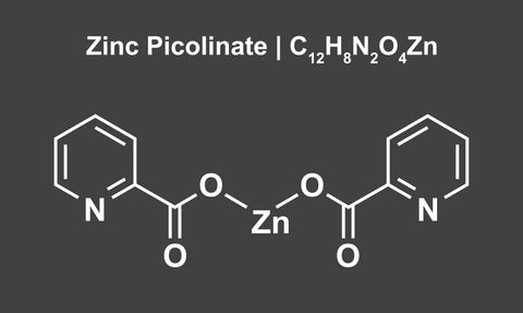 zinc picolinate. Benefits of zinc. Absorbability of zinc picolinate 