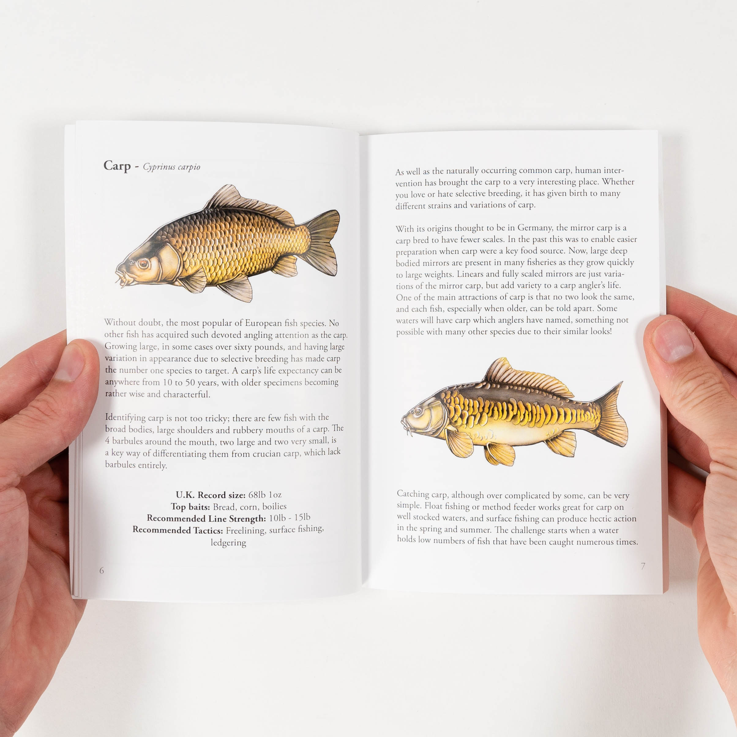 The Bass Fishing Log Book: Angler's Catch Log and Field Notes: LUDY, CA:  9798634655420: Books 