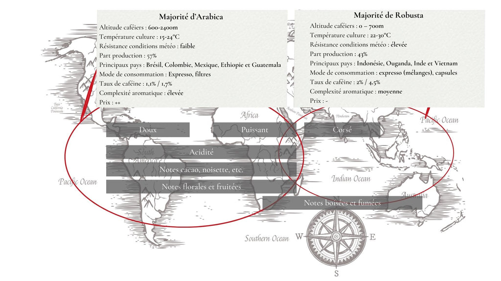 carte du monde avec les différences entre arabica et robusta