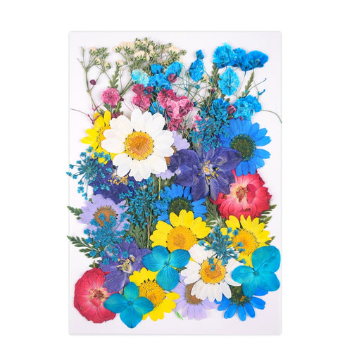 40Pcs/Bag Dried Pressed Flower Pack