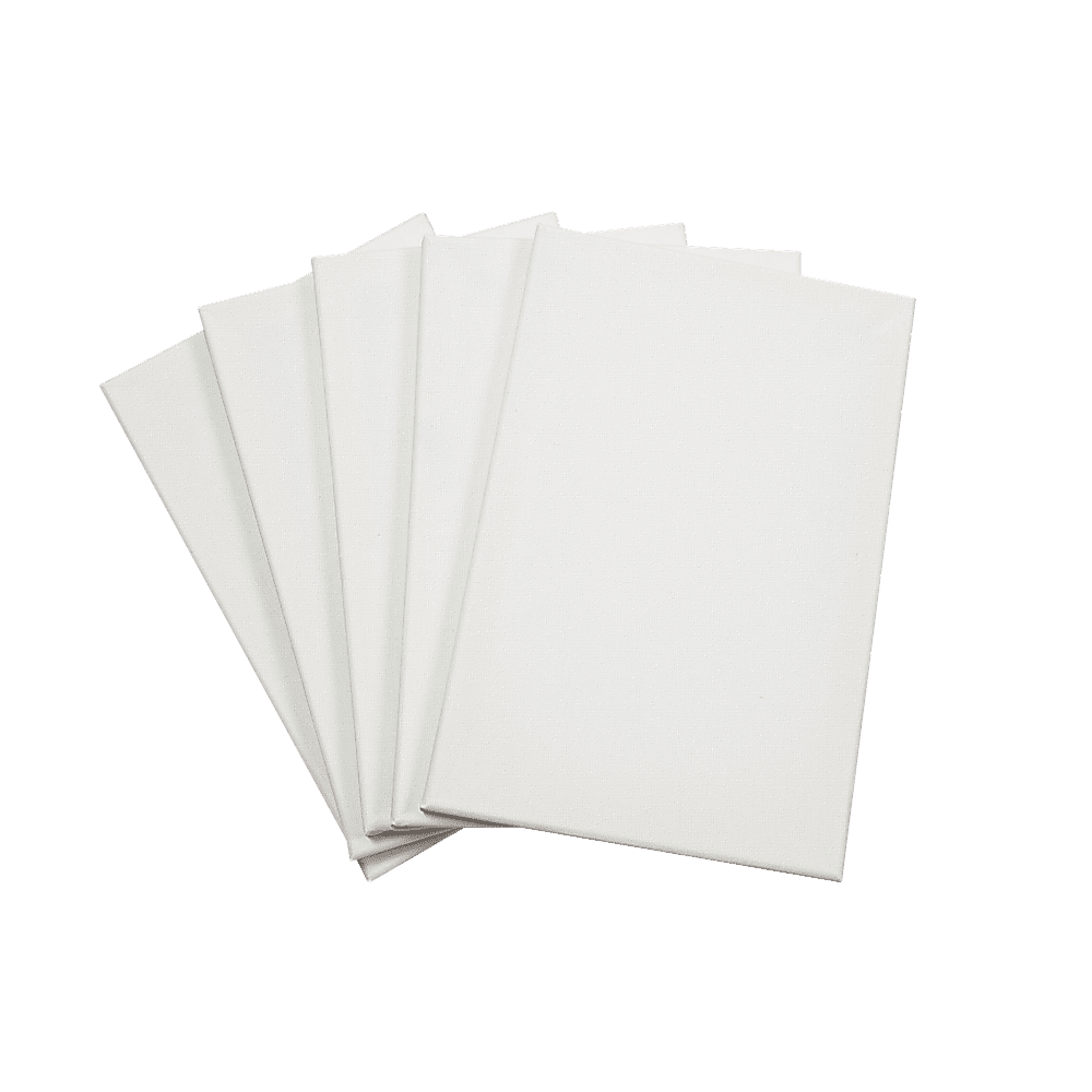 5 pack of 20x30cm Artist Blank Stretched Canvas Craft Outlet