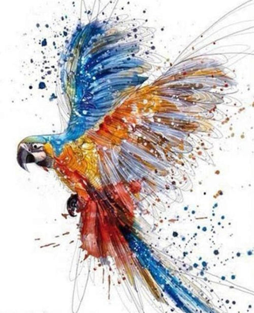 Paint By Numbers - Parrot