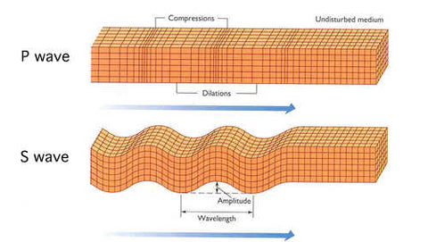 P & S Waves