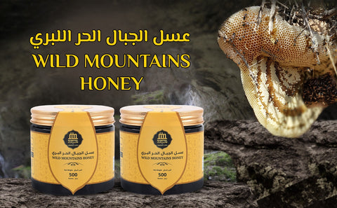 wild mountains honey
