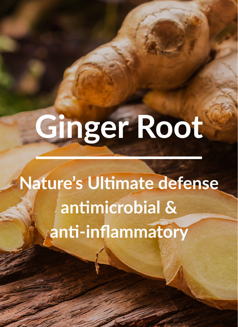 Does Ginger Help With Hair Loss  3 Important Benefits And How To Use   Hair Everyday Review
