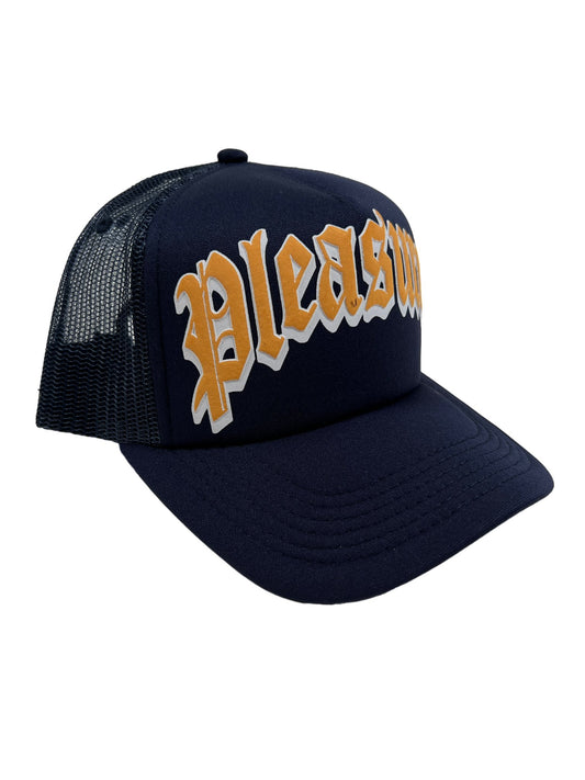 Pleasures Stretch Snap Back Hat