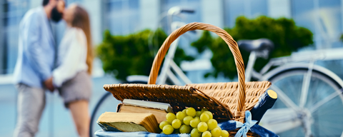 Picnic Romance