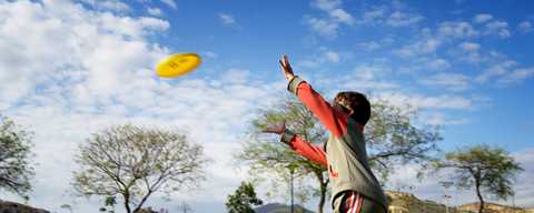 Frisbee Picnic Game