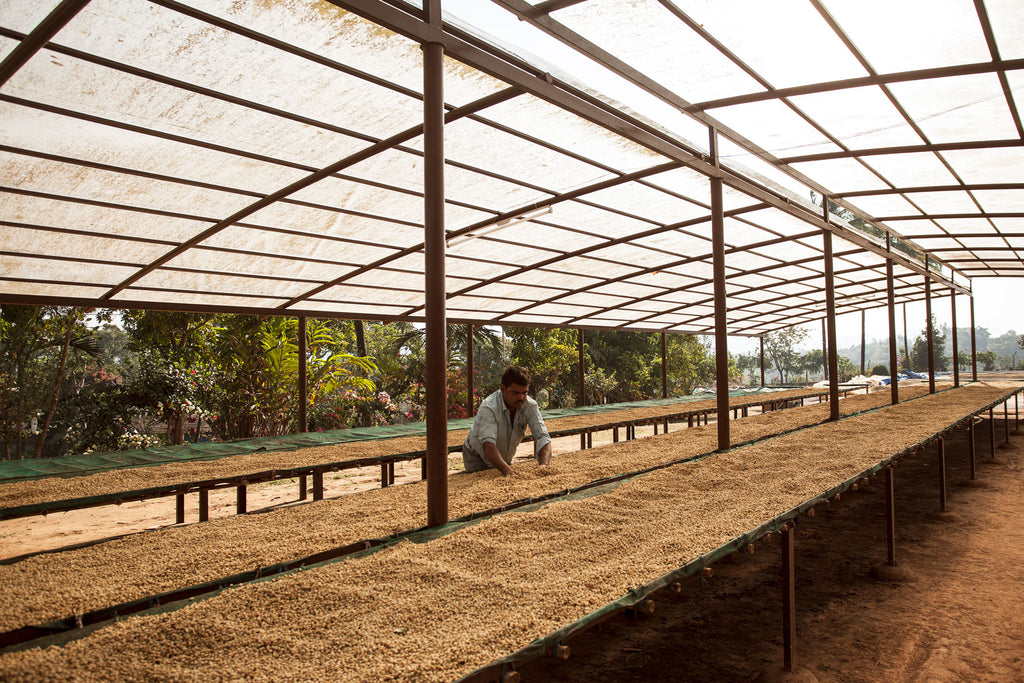 Indien Projektkaffee Schramms