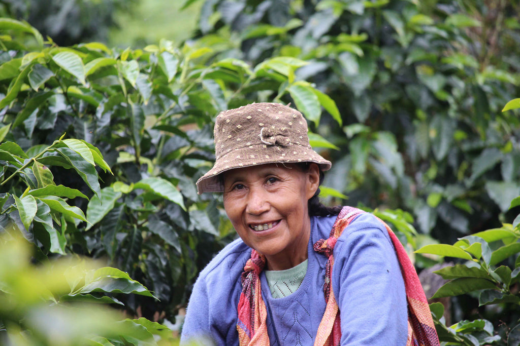 Peru Tunki Projektkaffee