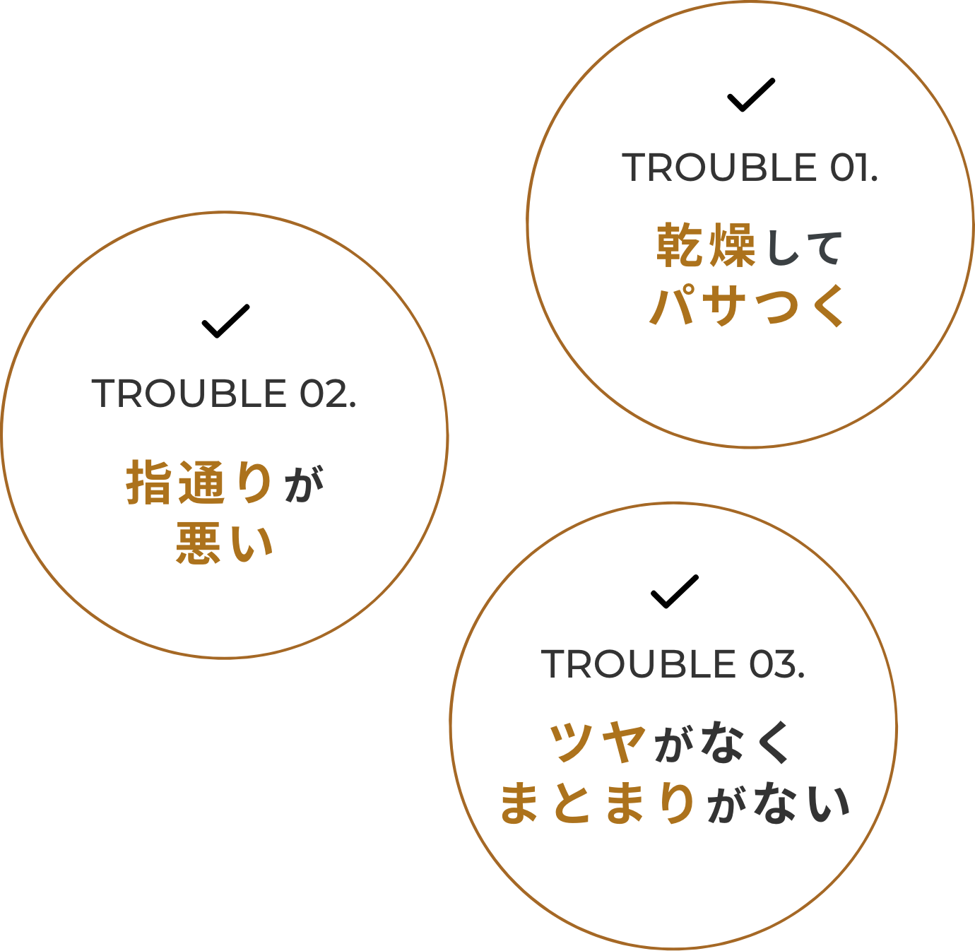 TROUBLE 01. 乾燥してパサつく TROUBLE 02. 指通りが悪い TROUBLE 03. ツヤがなく まとまりがない