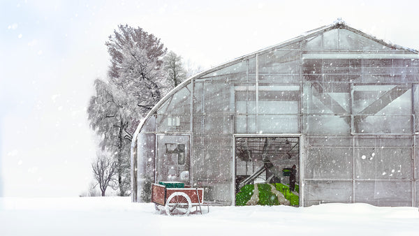A winter greenhouse