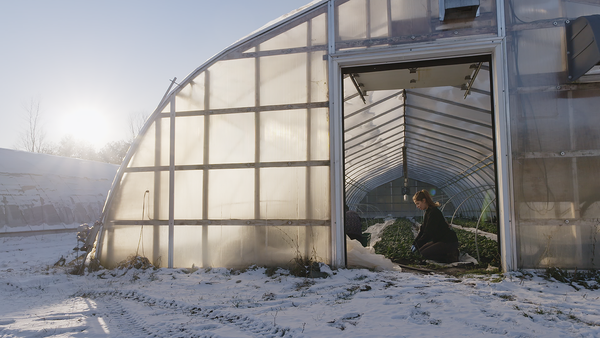 A farmer working in her cold greenhouse in the middle of winter